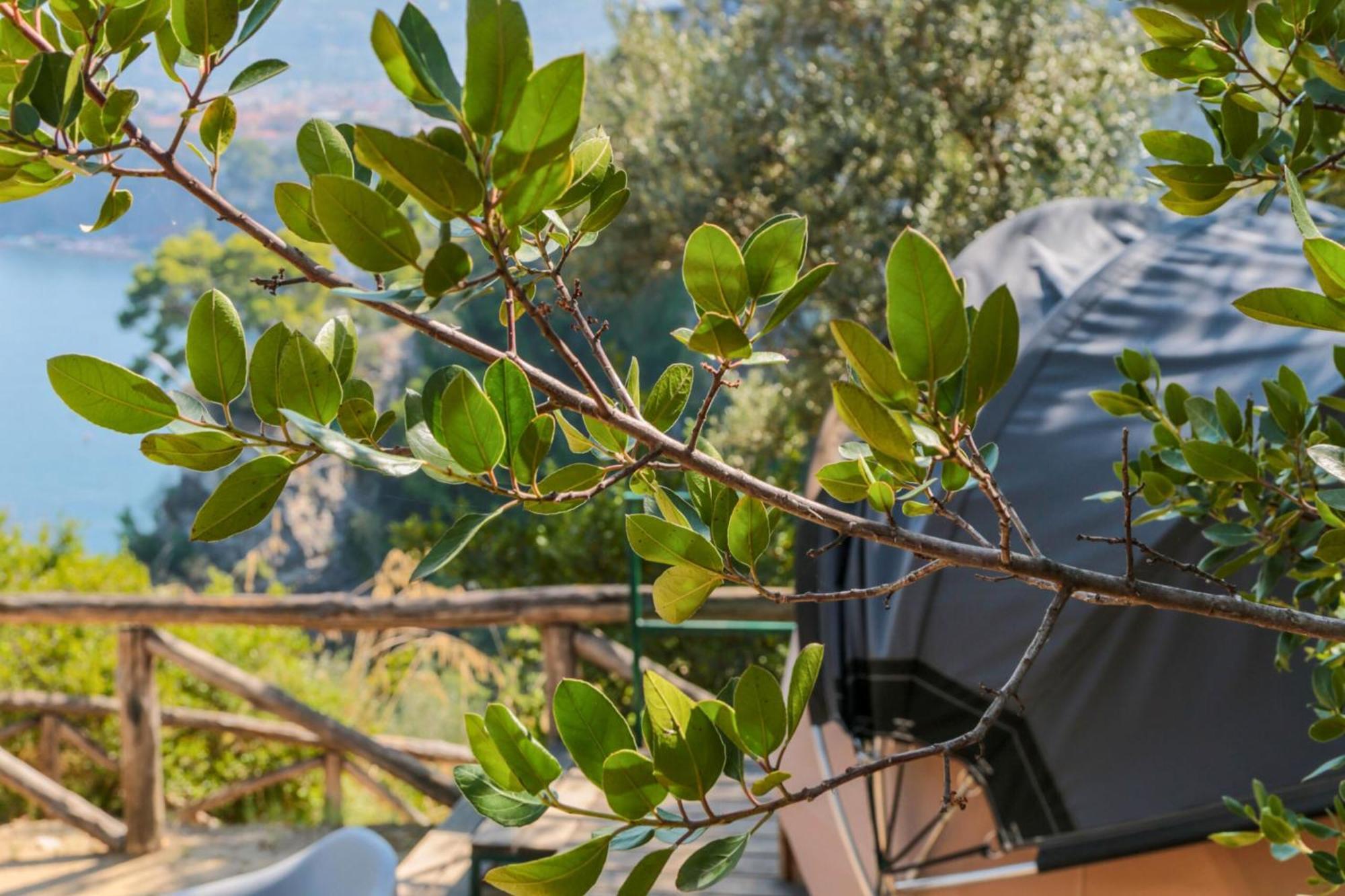 Hostel & Glamping Santa Fortunata Σορέντο Εξωτερικό φωτογραφία